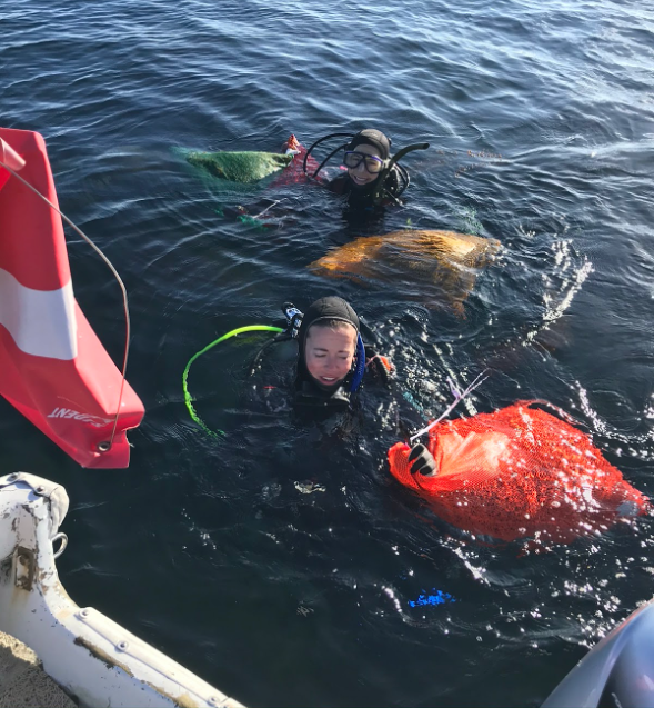 Two researchers return to the surface after diving for macroalgae