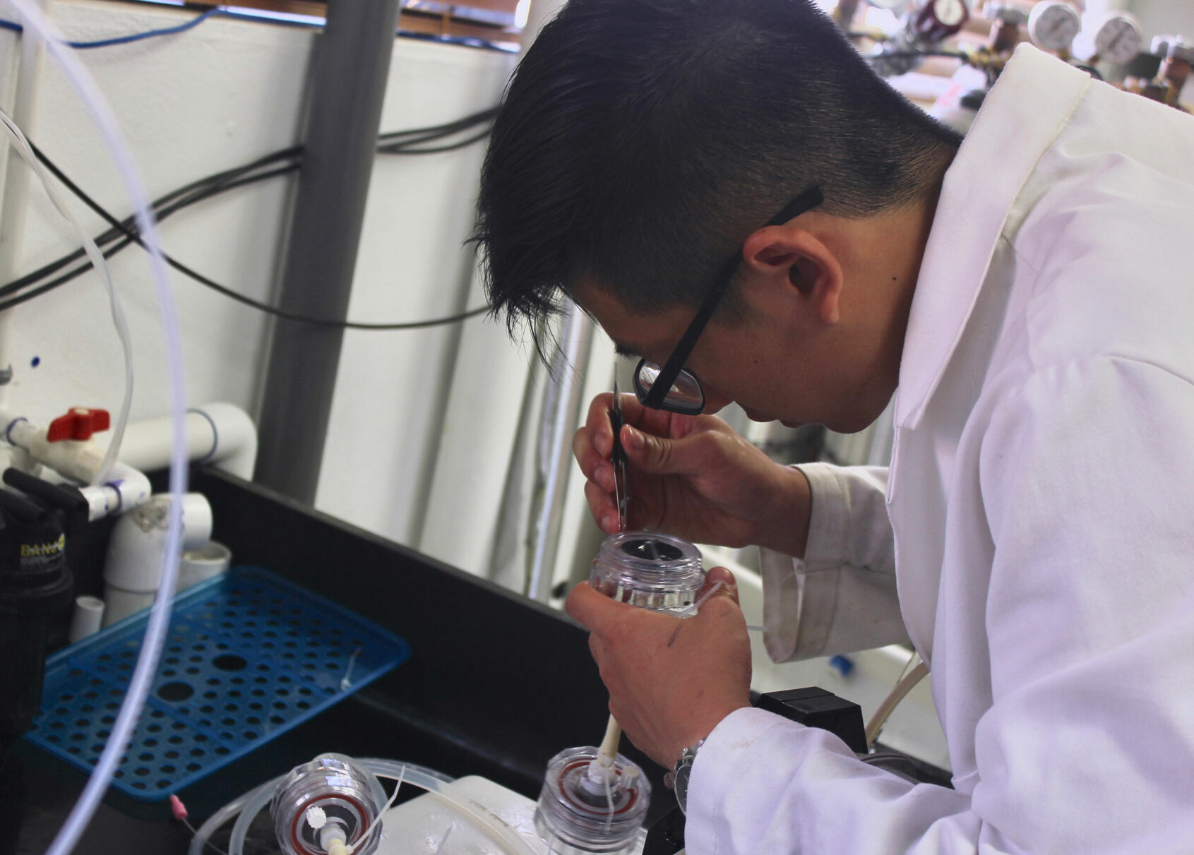 A student in a white coat works conducts an experiment in the lab