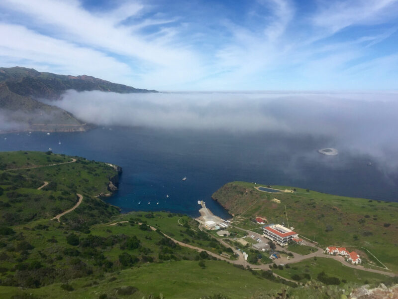 aerial view of Wrigley Marine Science Center on Catalina Island, showing the island's coastline and buildings nestled in a cove