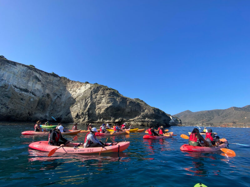 A group of student kayakers paddles along the Catalina Island coast