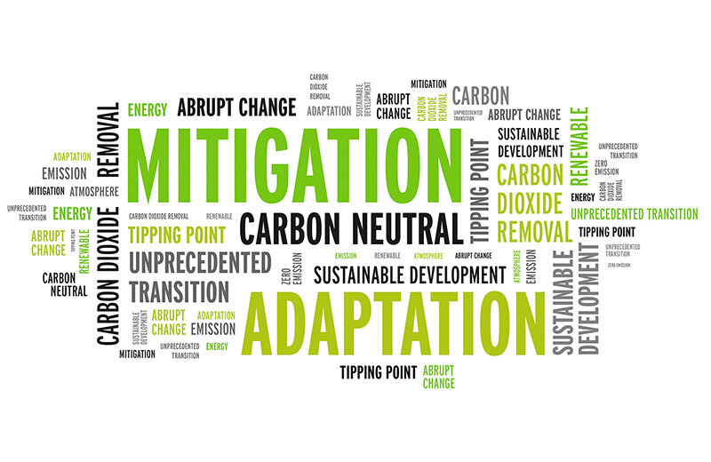 a black and green word cloud of climate change terminology, including words and phrases such as mitigation, carbon neutral, and adaptation