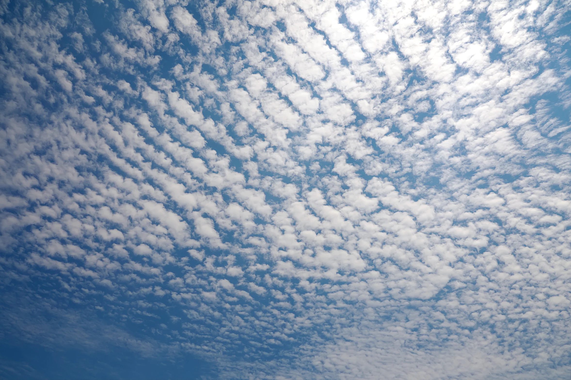 a formation of long, scalloped clouds against a blue sky
