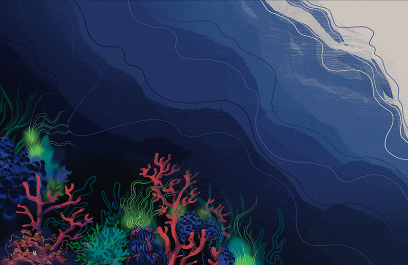 an illustration of dark blue ocean water over bright pink corals and lime green water plants