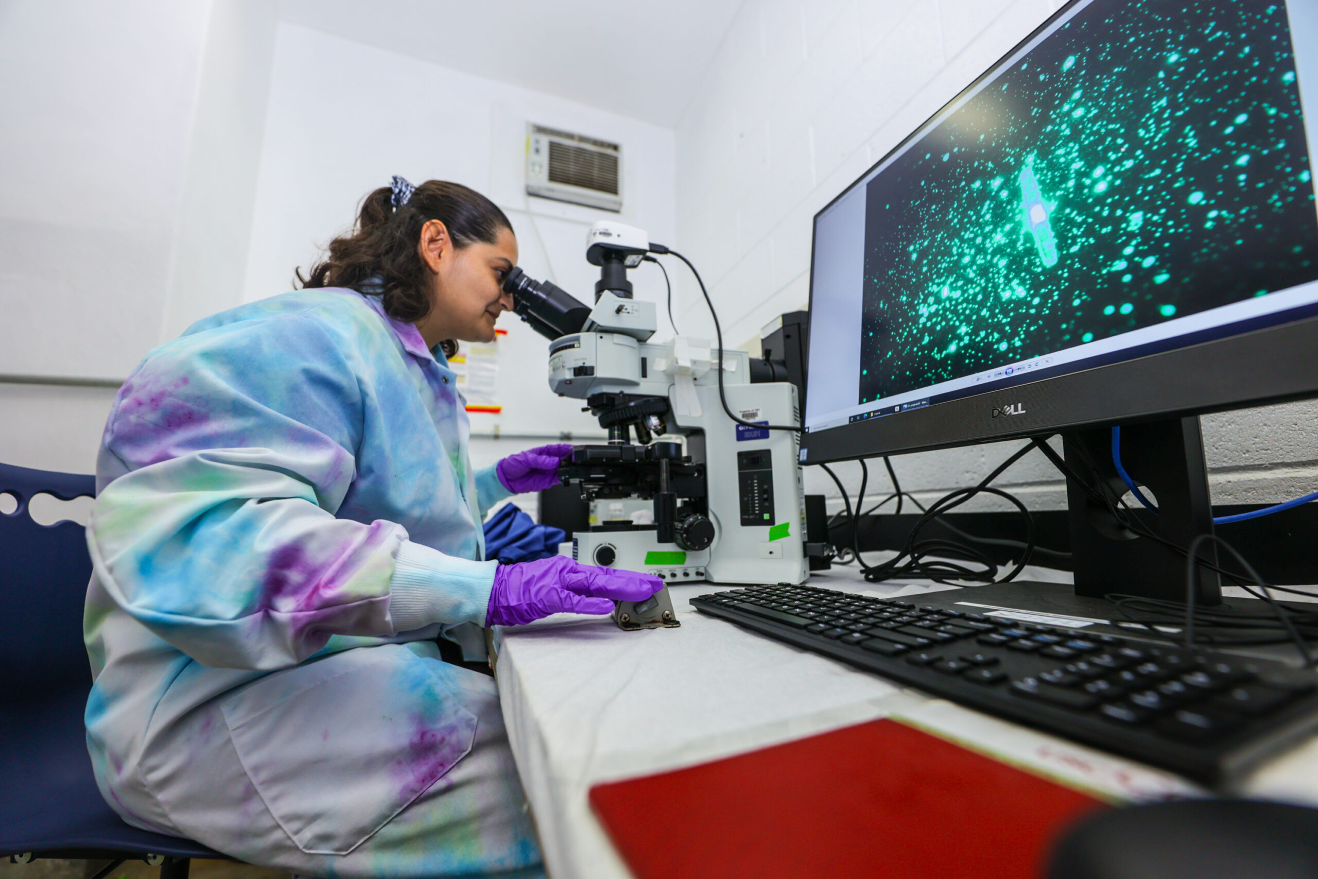 a graduate student wearing a tie-dyed lab coat looks through a microscope while fluorescent green microorganisms appear on a large monitor beside her
