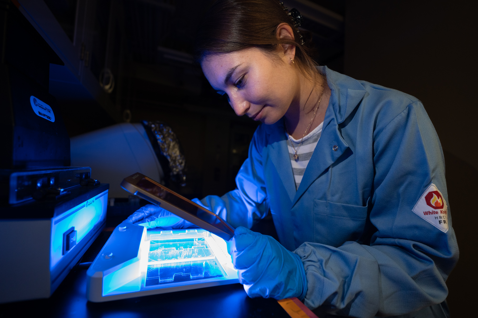 a scientist in a blue lab coat looks at anemone samples under UV light in a lab