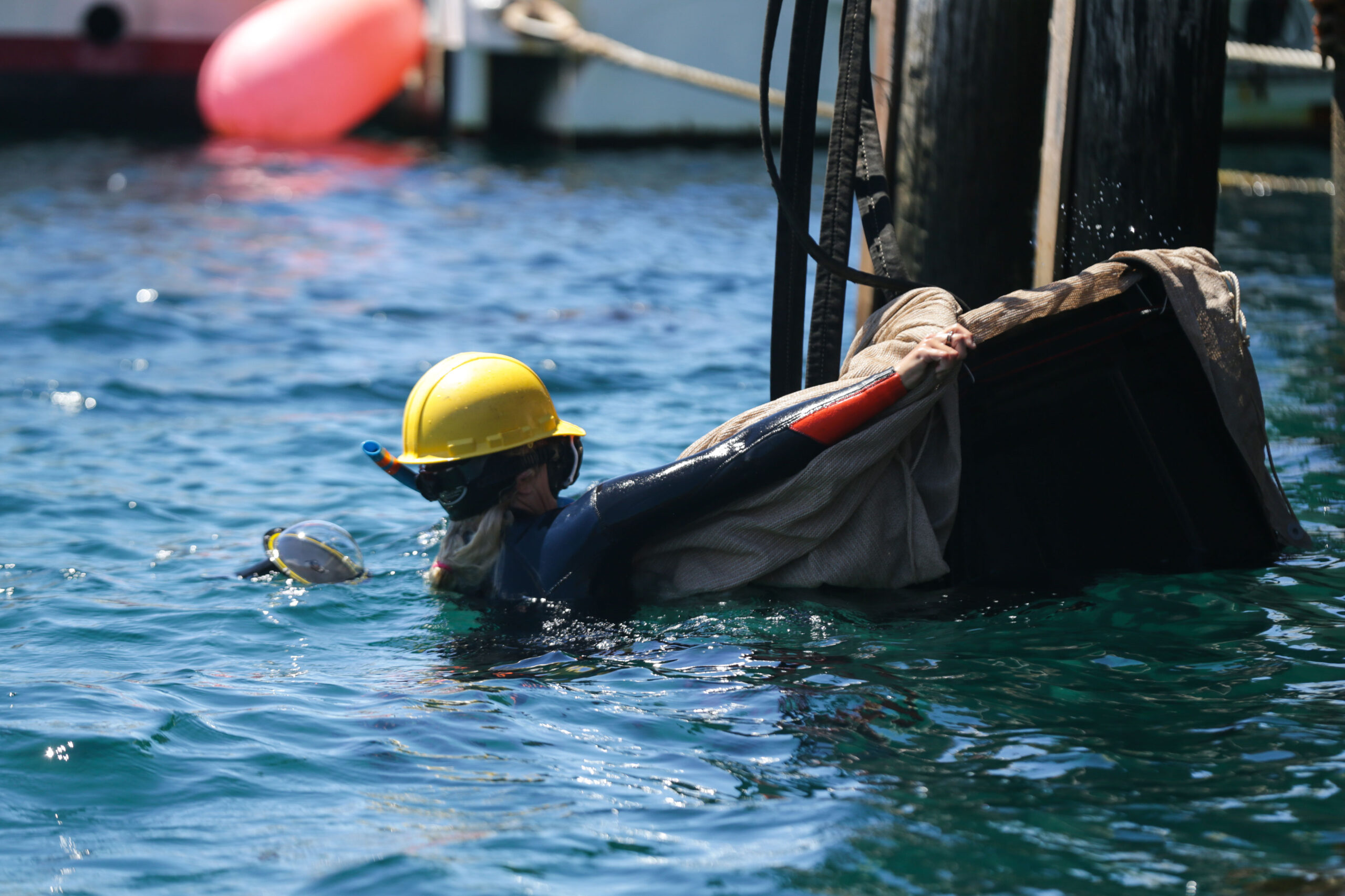 a person wearing a yellow helmet and wetsuit helps lower a large, burlap-covered tank into the waters of an ocean cove