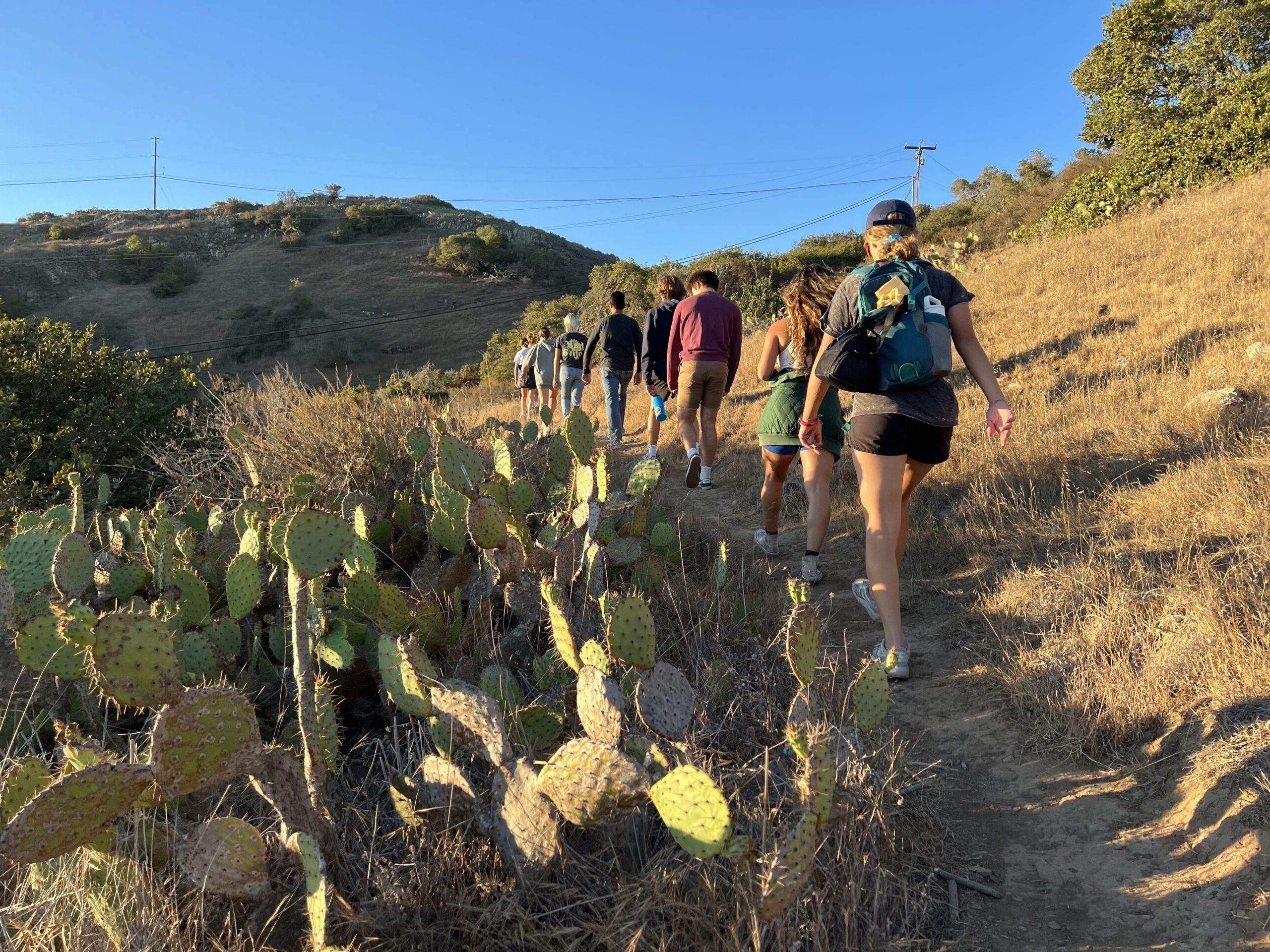 a line of students walks along a dirt hiking trail toward a hill with prickly pear cactus on their left