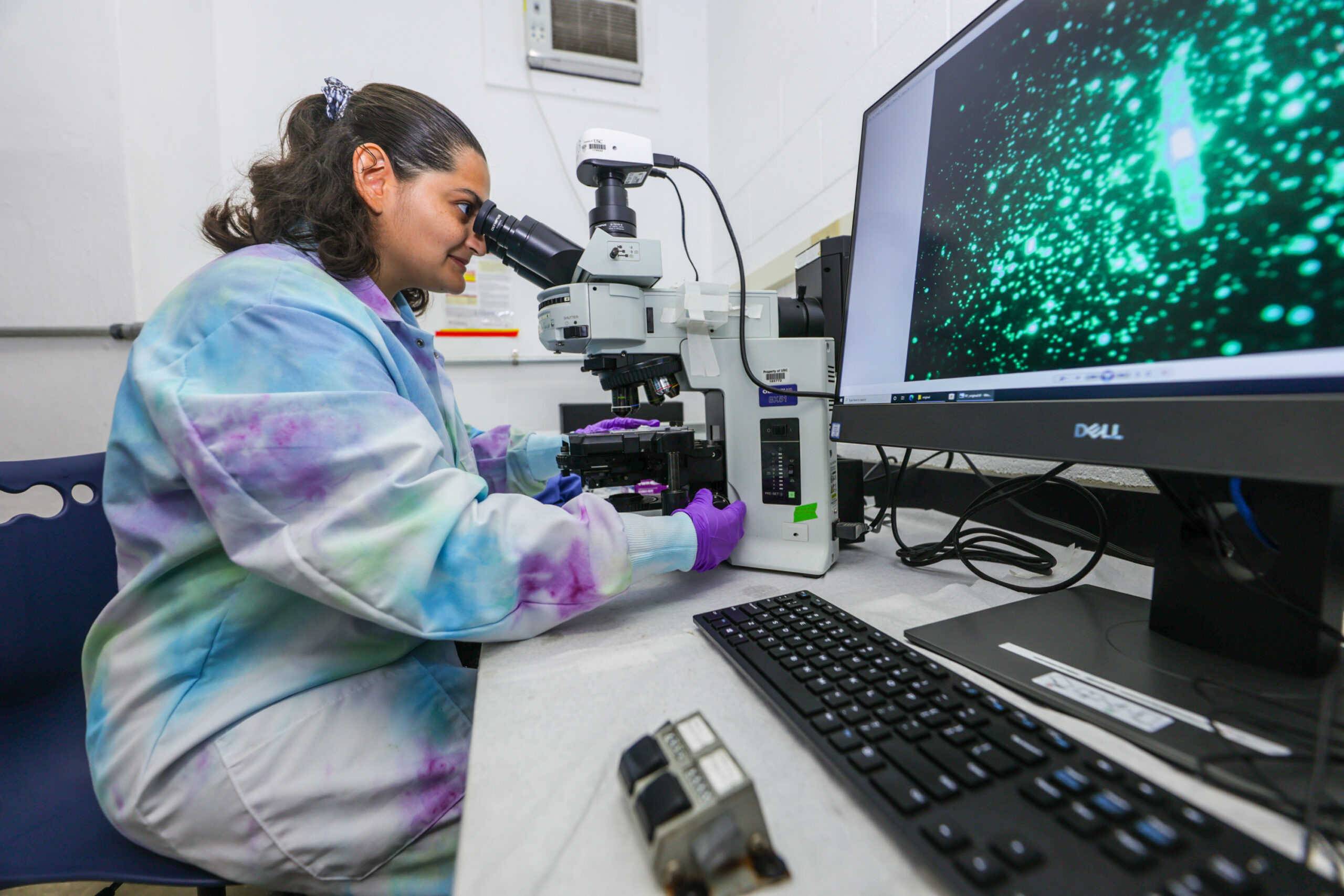 a researcher wearing a tie-dyed lab coat looks into a microscope that is projecting a fluorescent image of microorganisms onto a nearby monitor