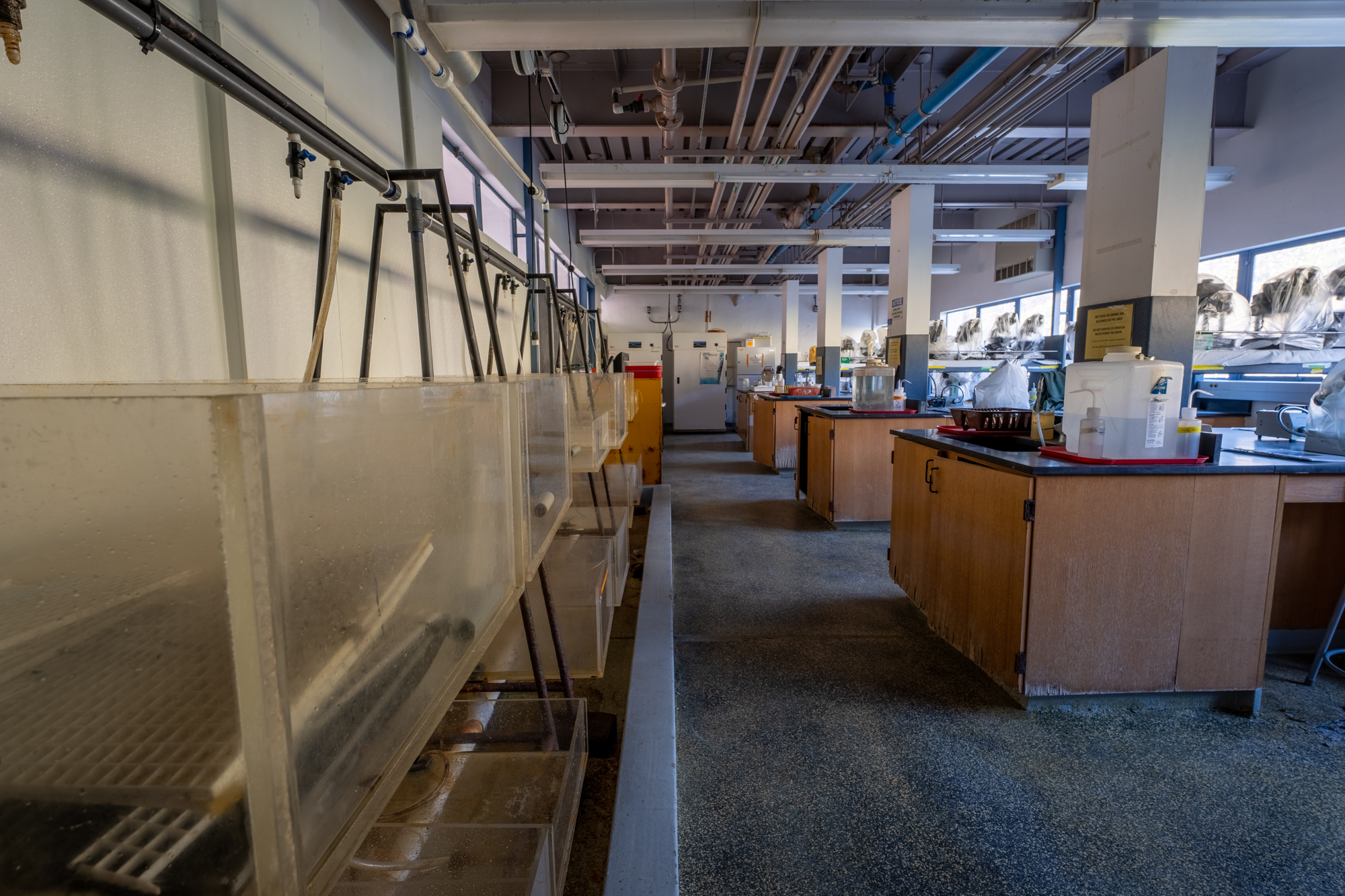 a large wet lab with lab benches, equipment, and sea tables fed by water pipes