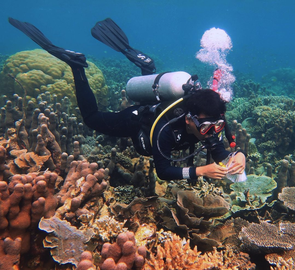 Adib Mustofa, wearing a wetsuit and scuba gear, holds measuring tools as he dives over a coral reef in Indonesia