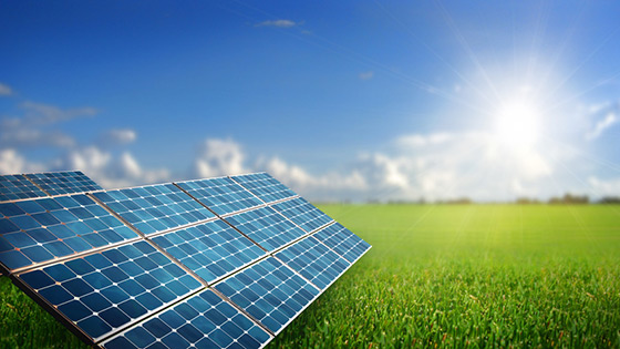 solar panels sit in a green field under a bright sun