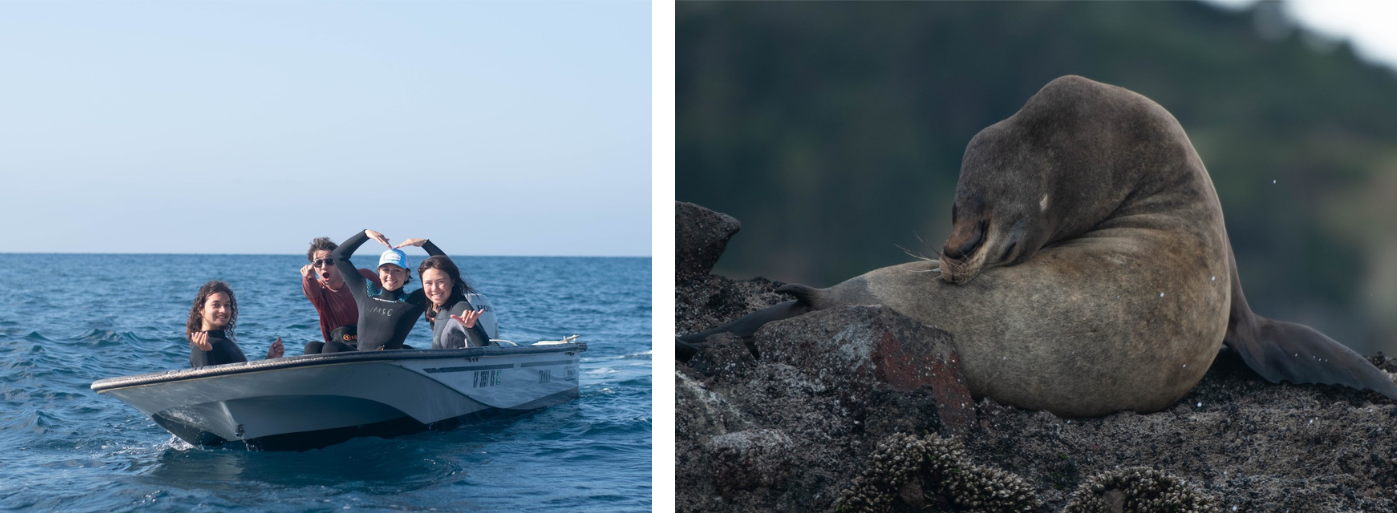 left: four people sitting on a small boat make silly faces and poses to the camera; right: a sea lion sitting on a rock lays its neck toward its back