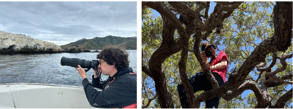 left: person on a boat points a camera with long lens facing nearby land; right: person wearing a red shirt sits on a tree and point a camera toward the viewer