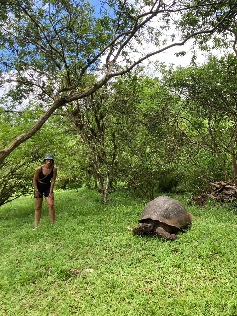 Alisha Soni smiles as she stands a short distance away from a giant tortoise in a grassy clearing