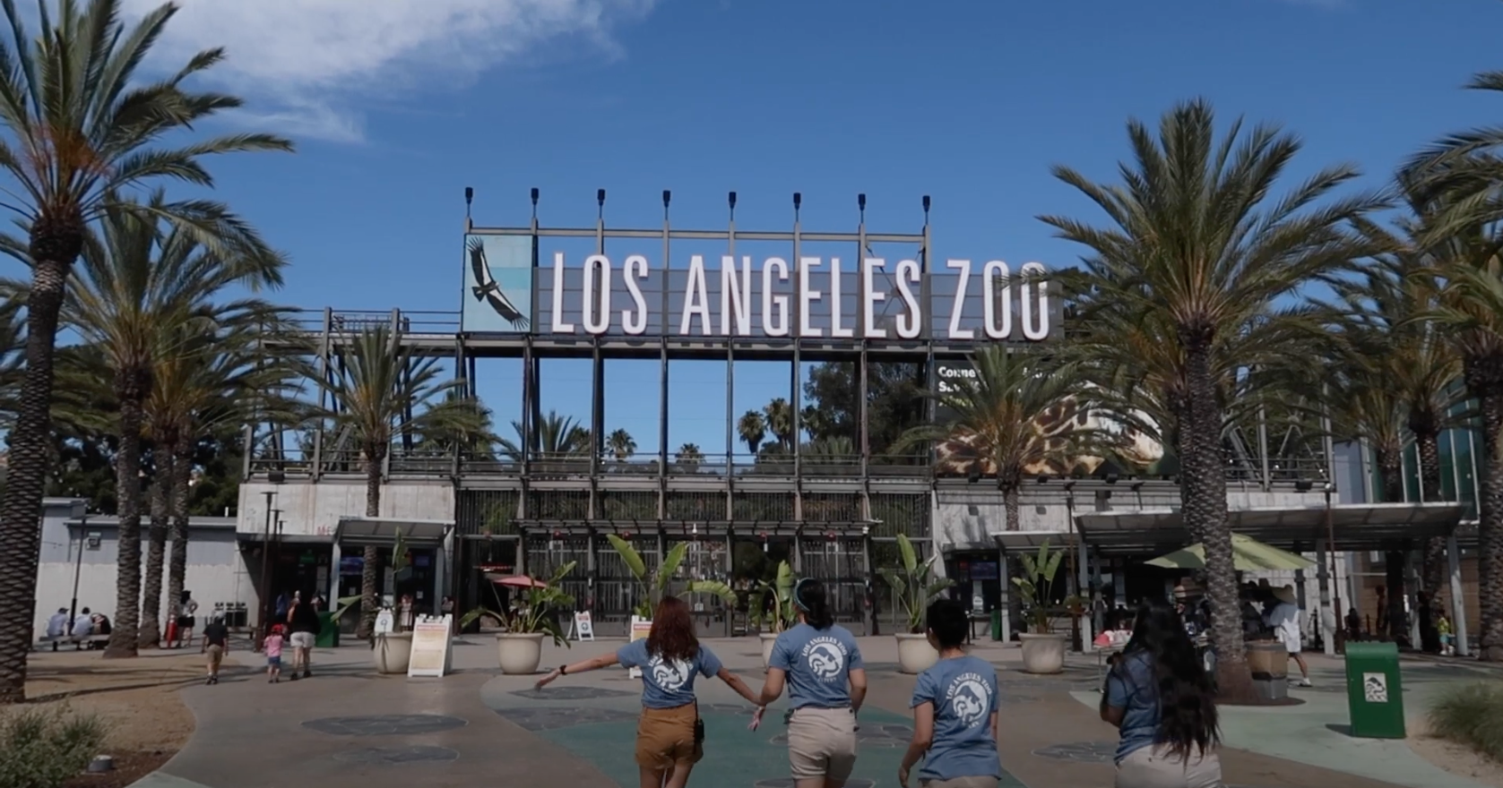 four interns, their back turned towards the camera, walk toward a park entrance with large signage that reads " Los Angeles Zoo" surrounded by several trees