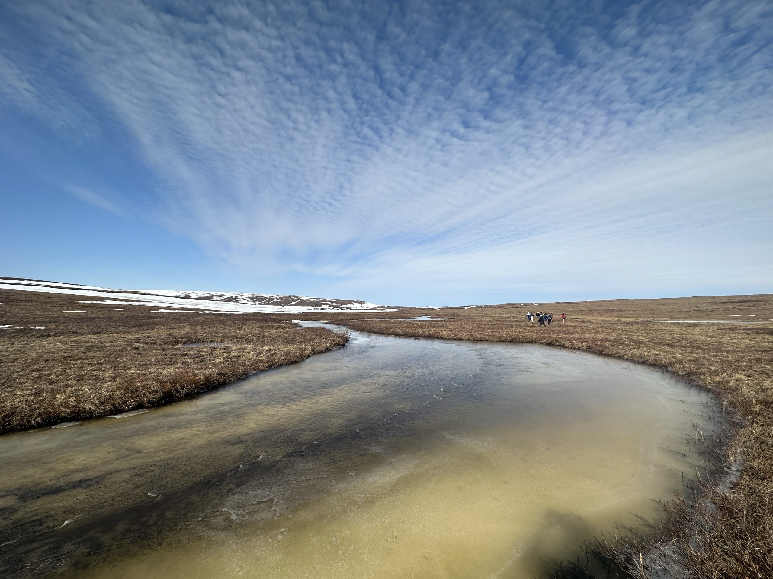 a stream gracefully flows through a tundra leading to a snow-covered field
