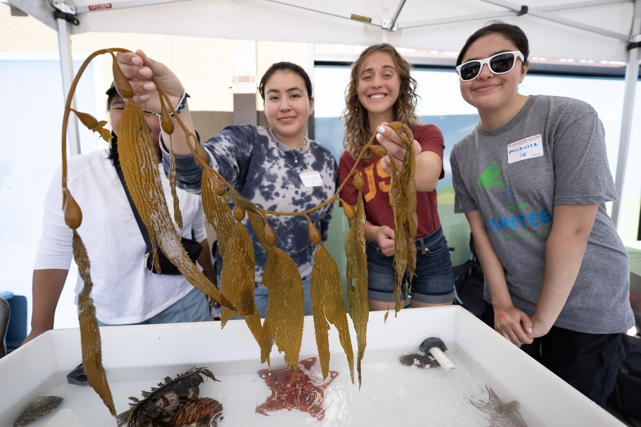 four people hold up a piece of kelp above a touch tank