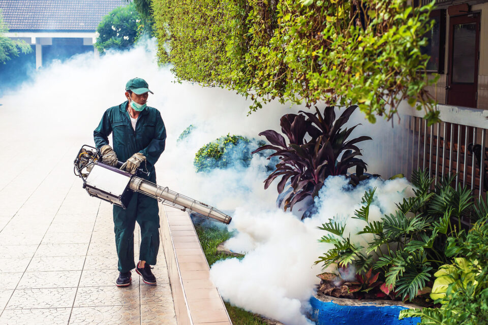 a worker wearing coveralls sprays insecticide fog into plants along a home's driveway