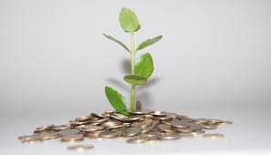 a green plant with six leaves grows from a pile of coins